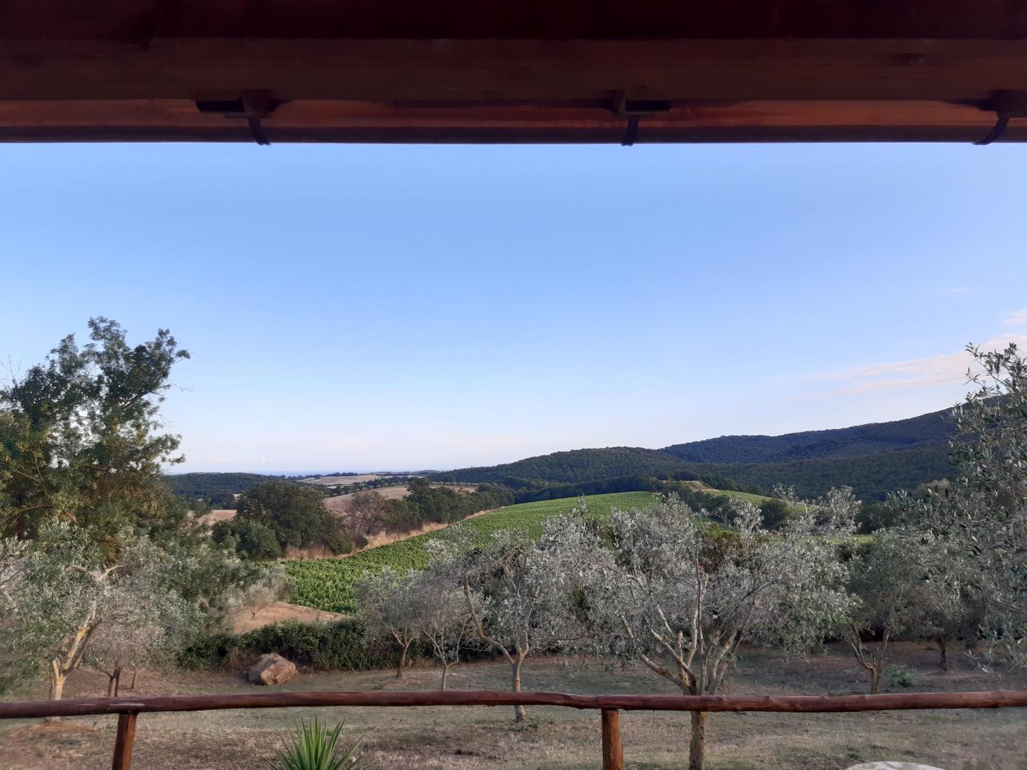 Agriturismo Colleverde Capalbio Zimmer foto
